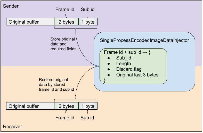 SingleProcessEncodedImageDataInjector